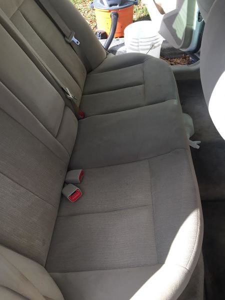 Shampoo (Light Colors) After