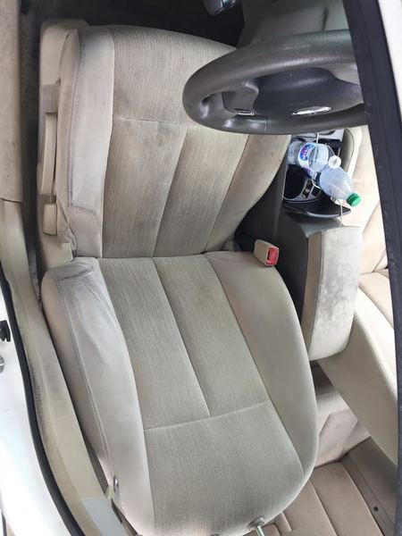 Shampoo (Light Colors) 