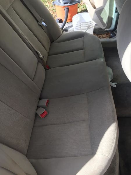 Shampoo (Light Colors) After