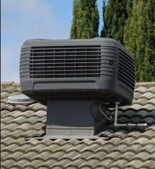 Service image