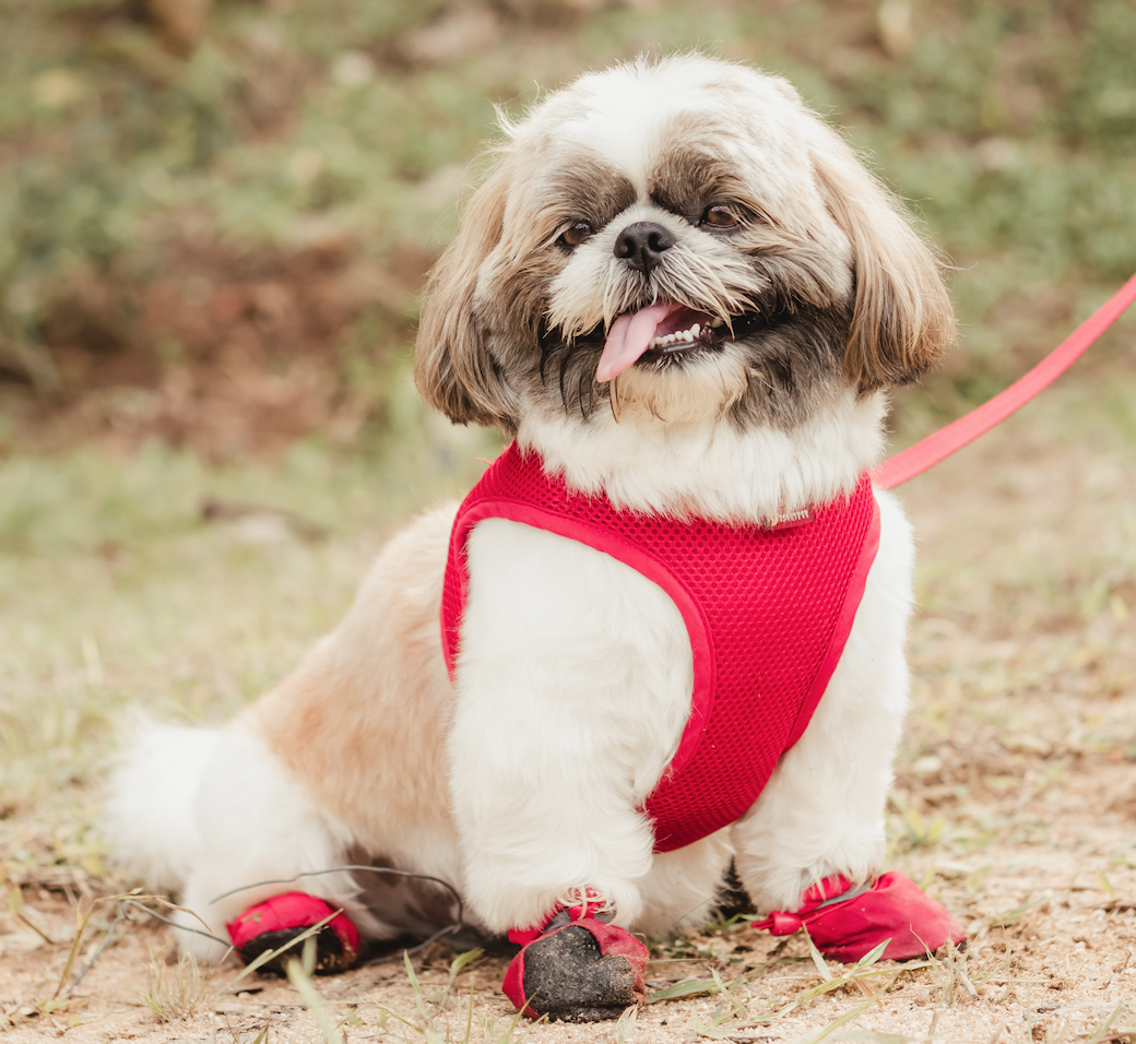 Imagem do fornecedor