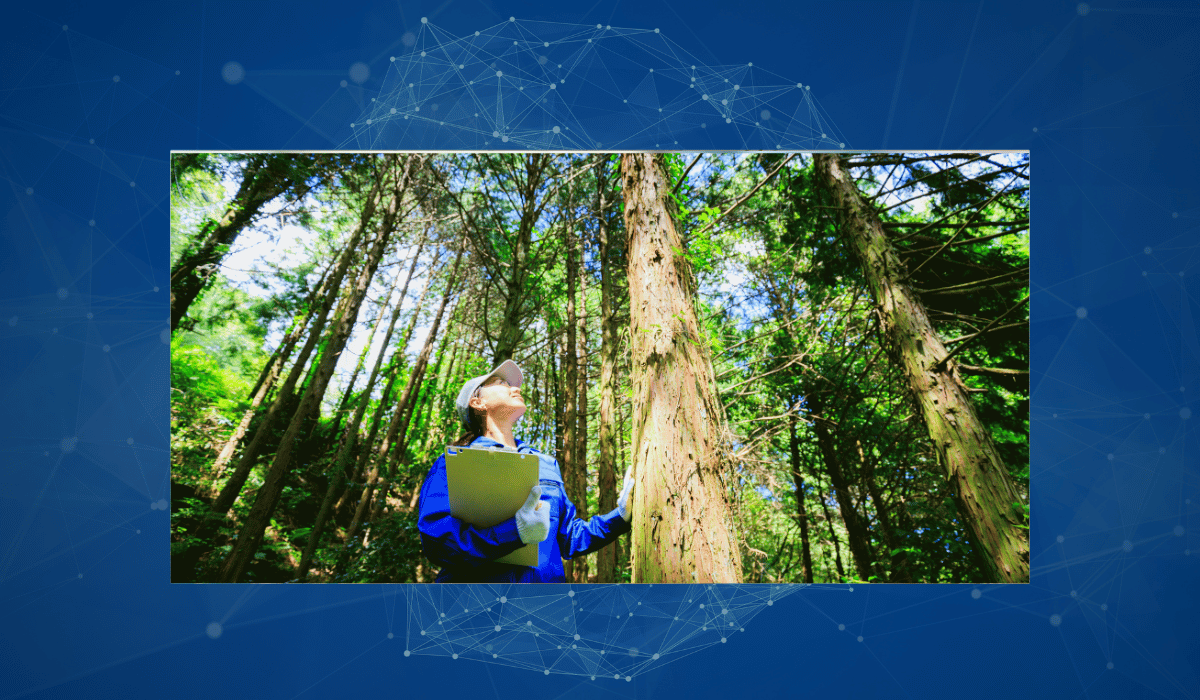 Imagem do fornecedor