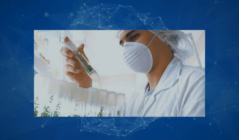 Imagem do fornecedor