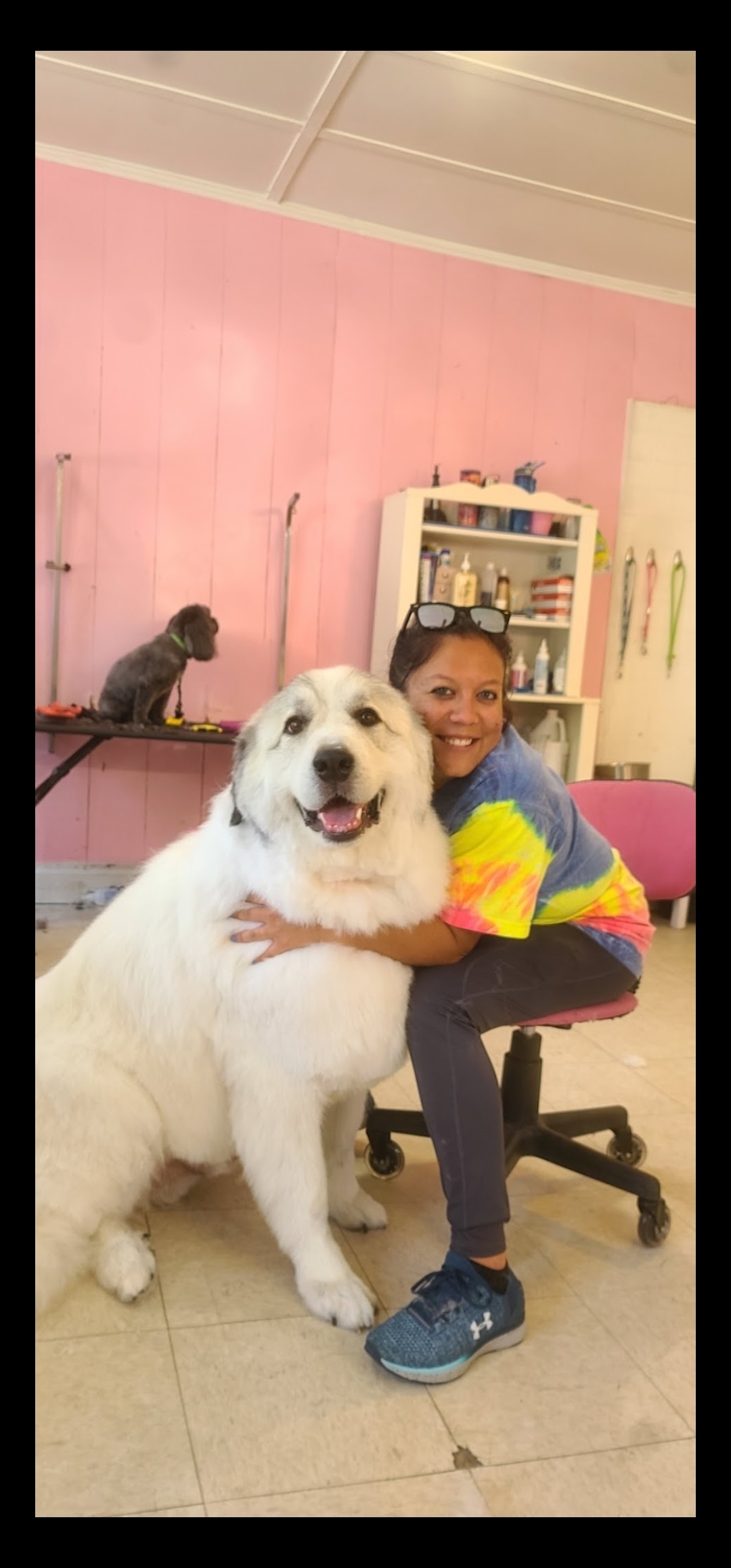 Imagem do fornecedor