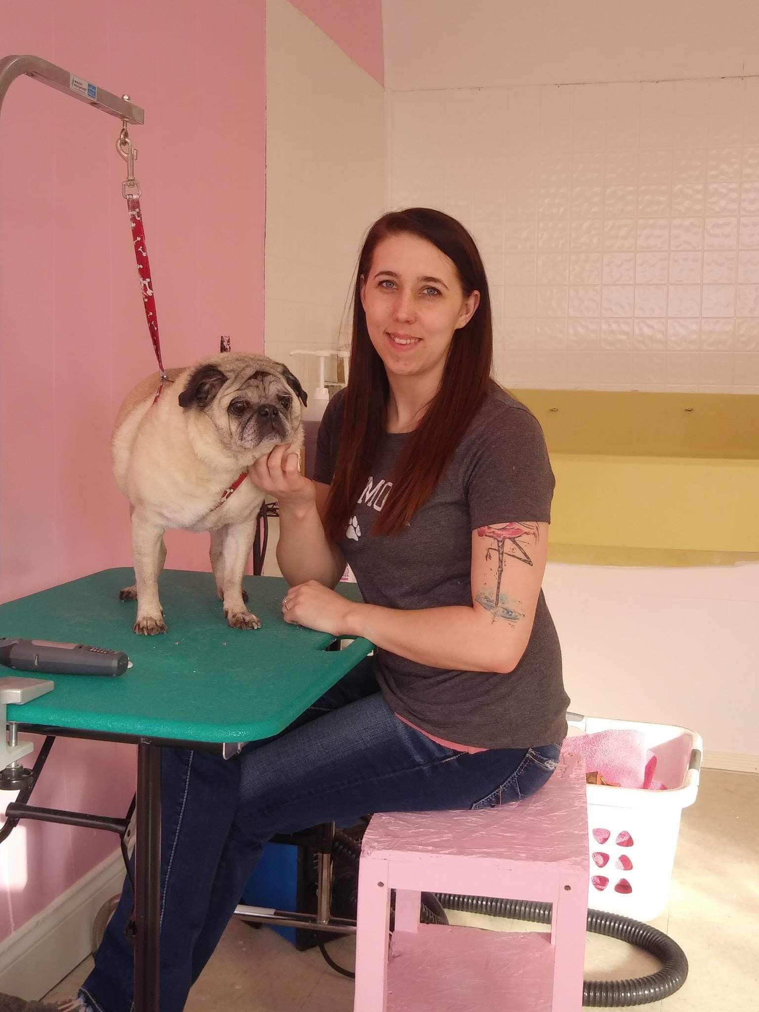 Imagem do fornecedor