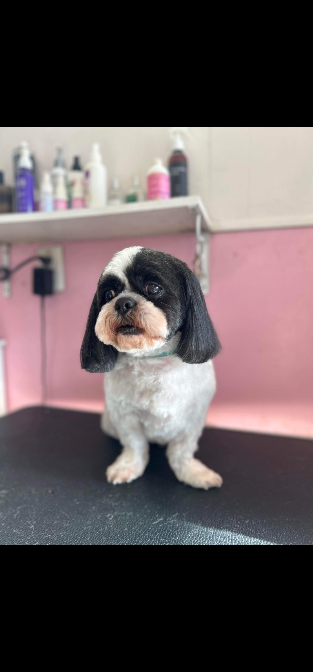 Imagem do fornecedor