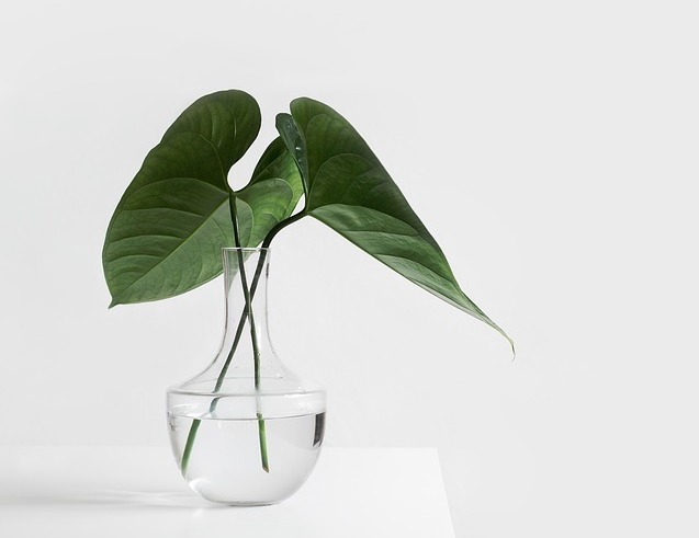 Imagem do fornecedor