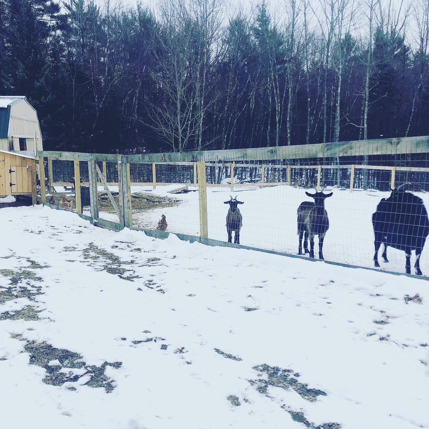 Imagem de apresentação da empresa