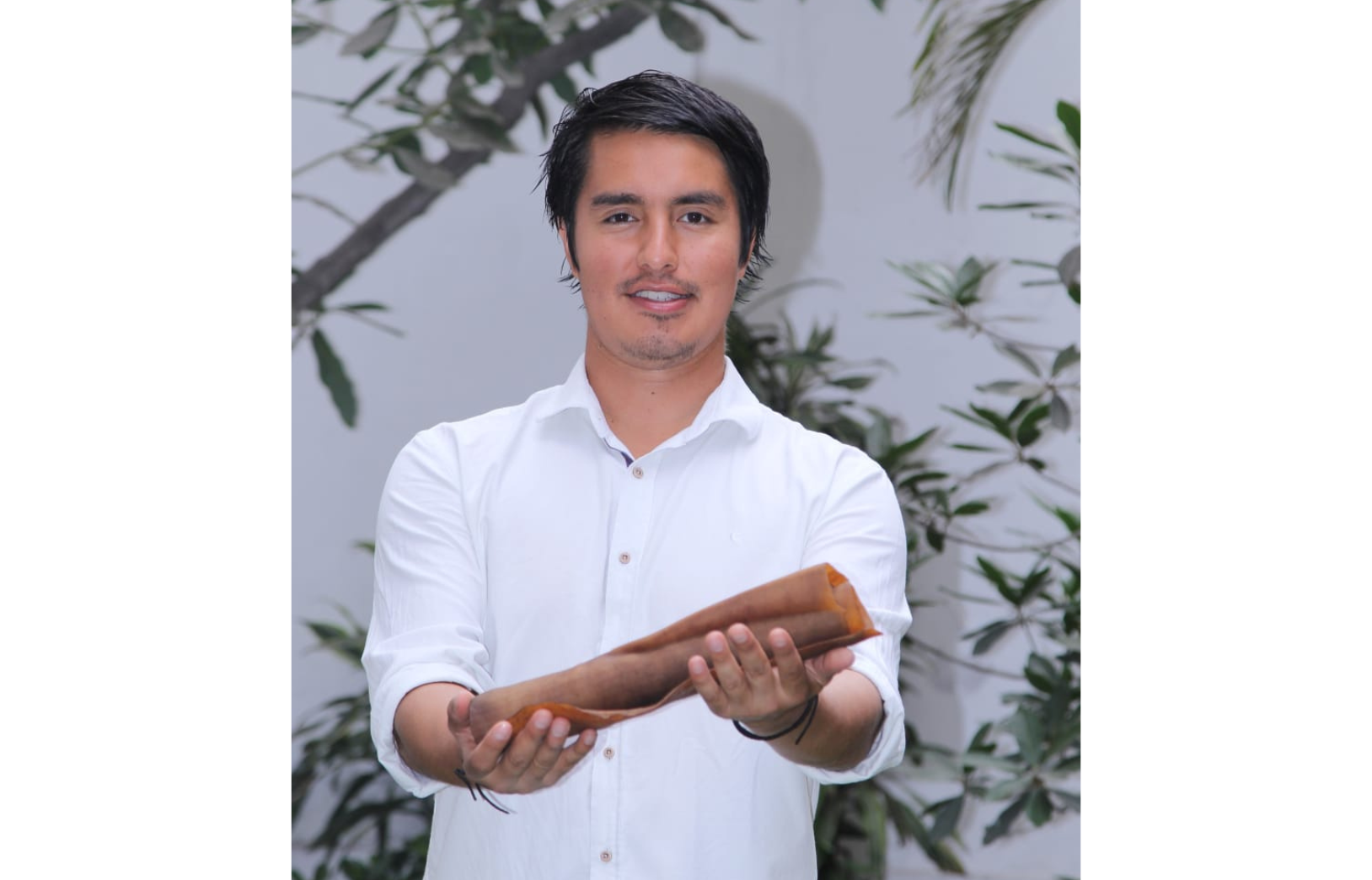 Imagem do fornecedor