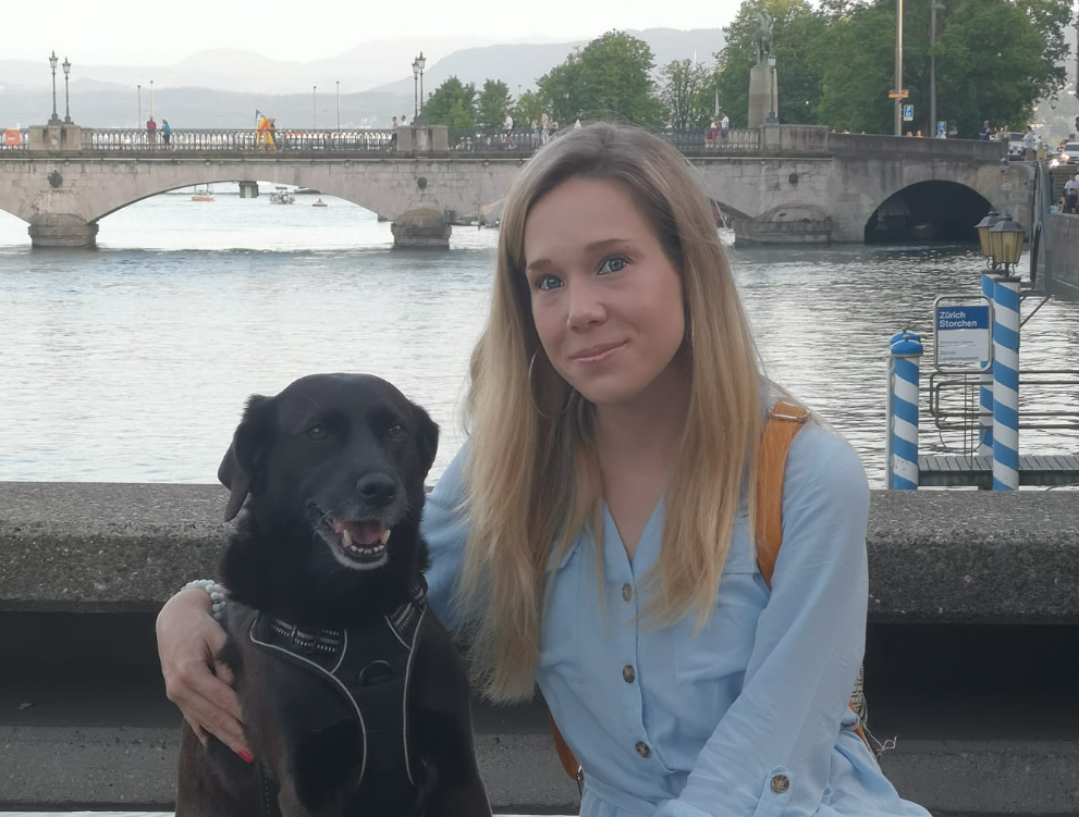 Imagem do fornecedor