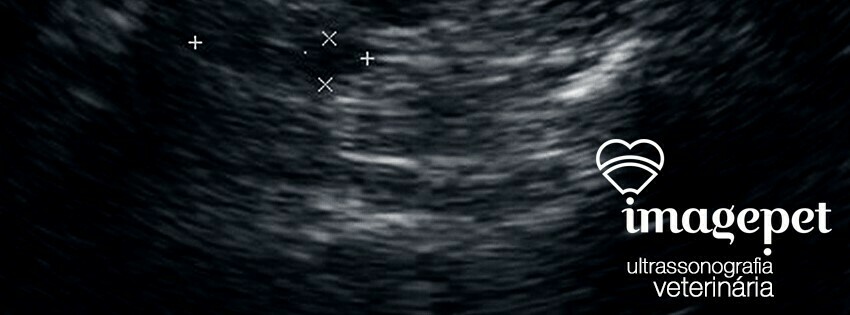 Imagem de apresentação da empresa