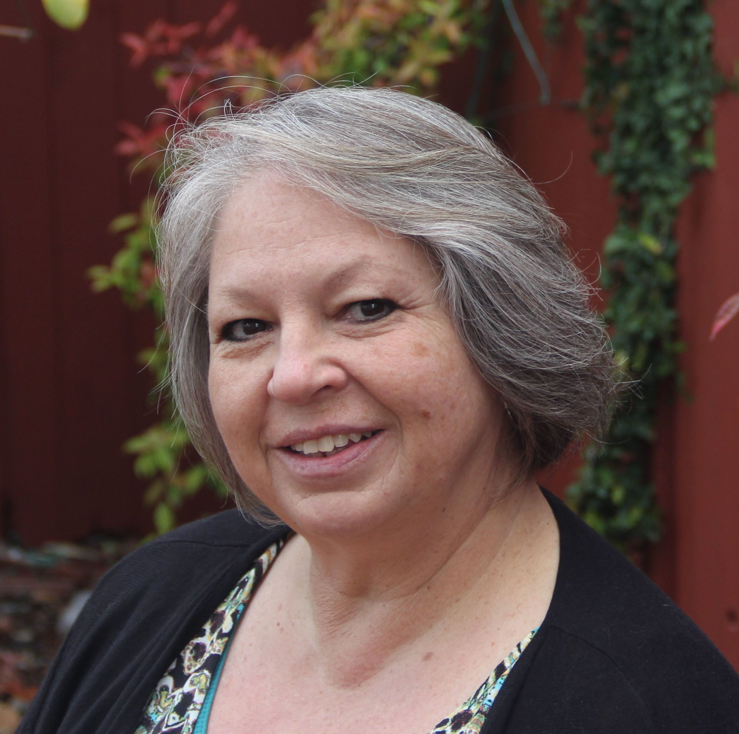 Imagem do fornecedor