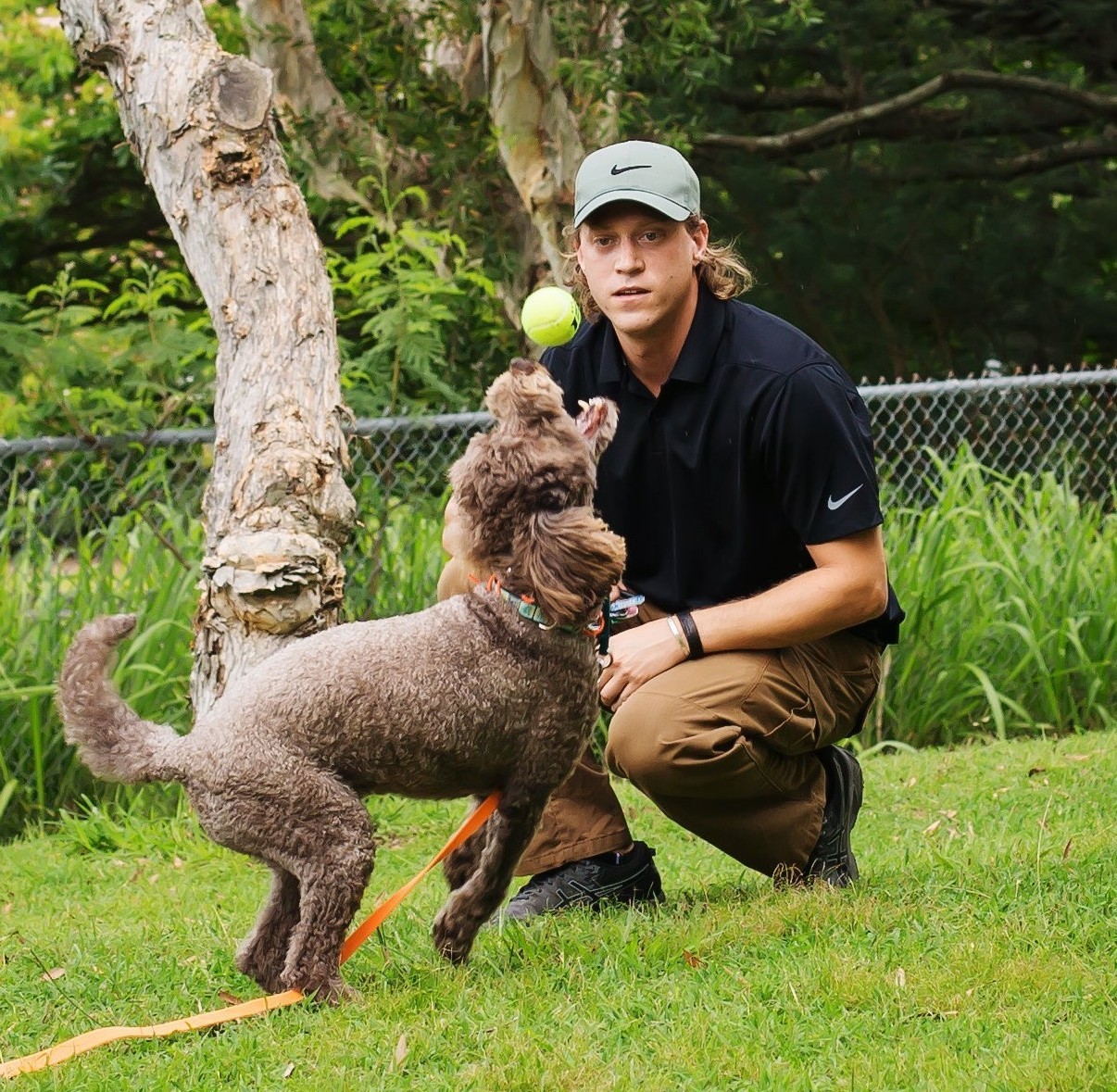 Imagem do fornecedor