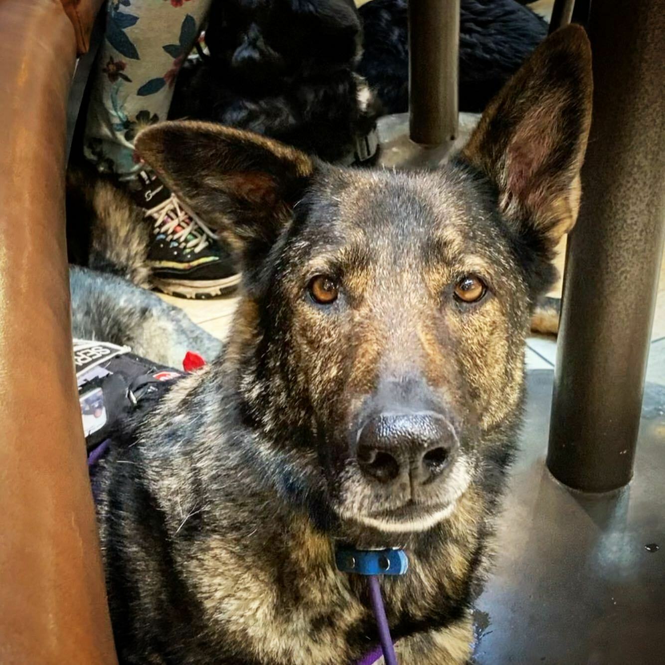 Imagem de apresentação da empresa