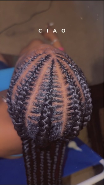 Feed in stitch braids 