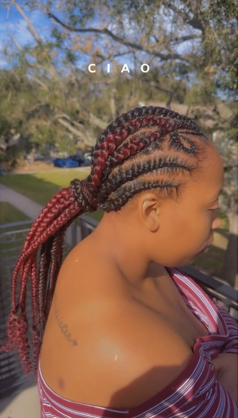 Feed in stitch braids  