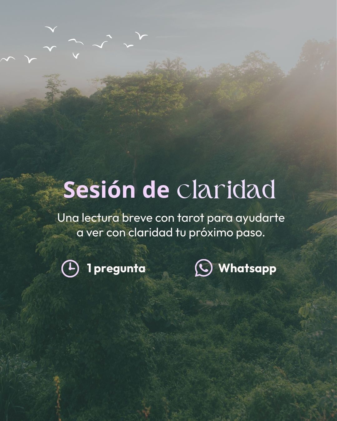Imagem do serviço 