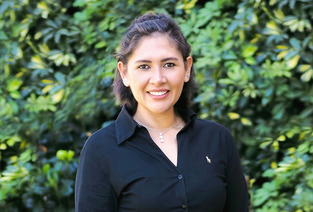 Imagem do fornecedor