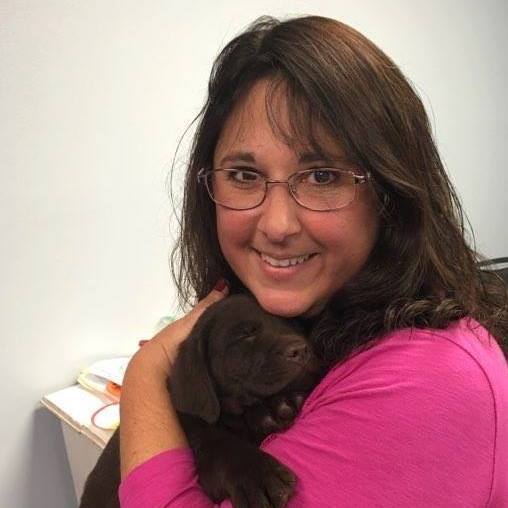 Imagem do fornecedor