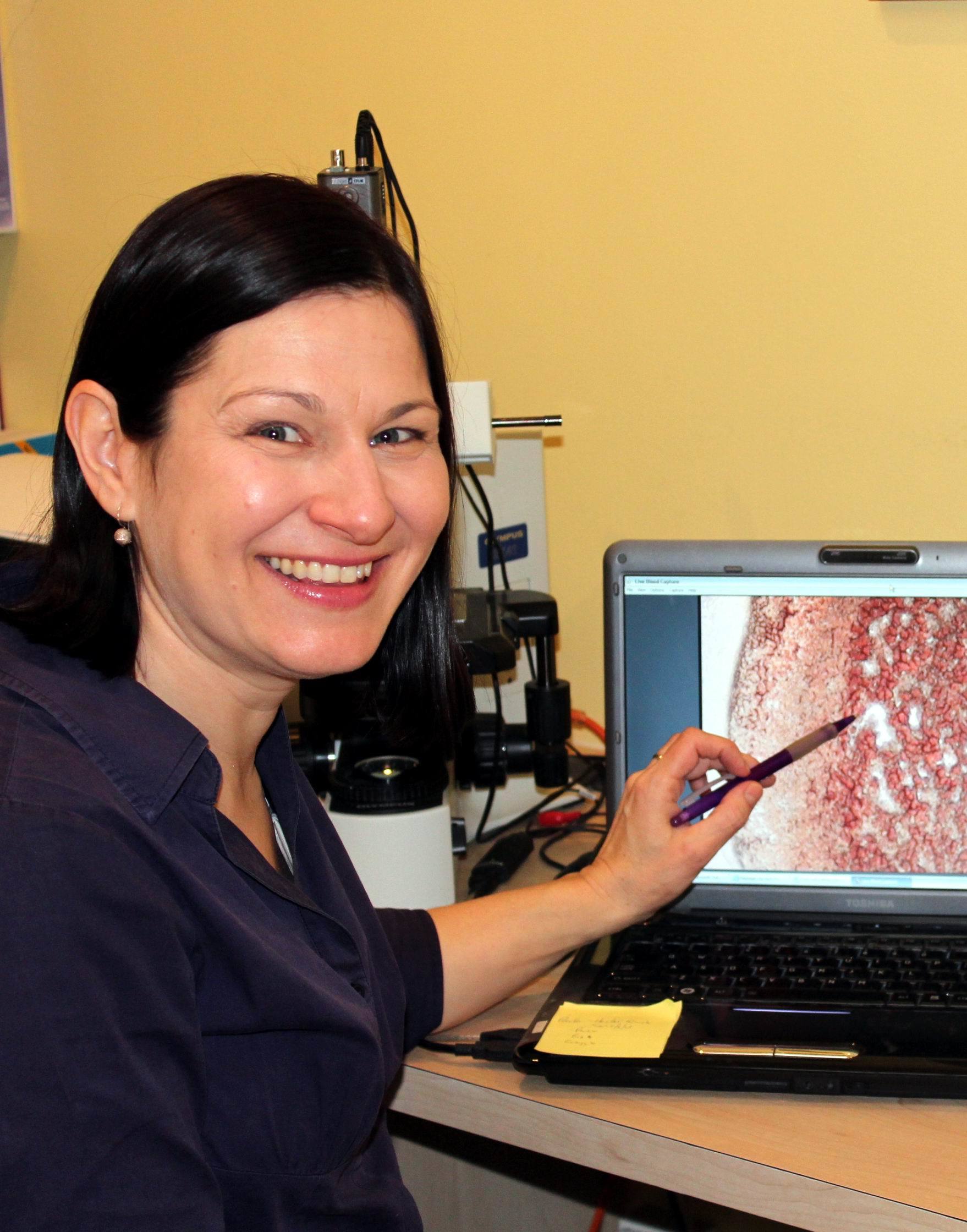 Imagem do fornecedor