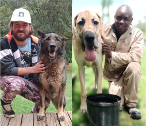 Imagem do fornecedor