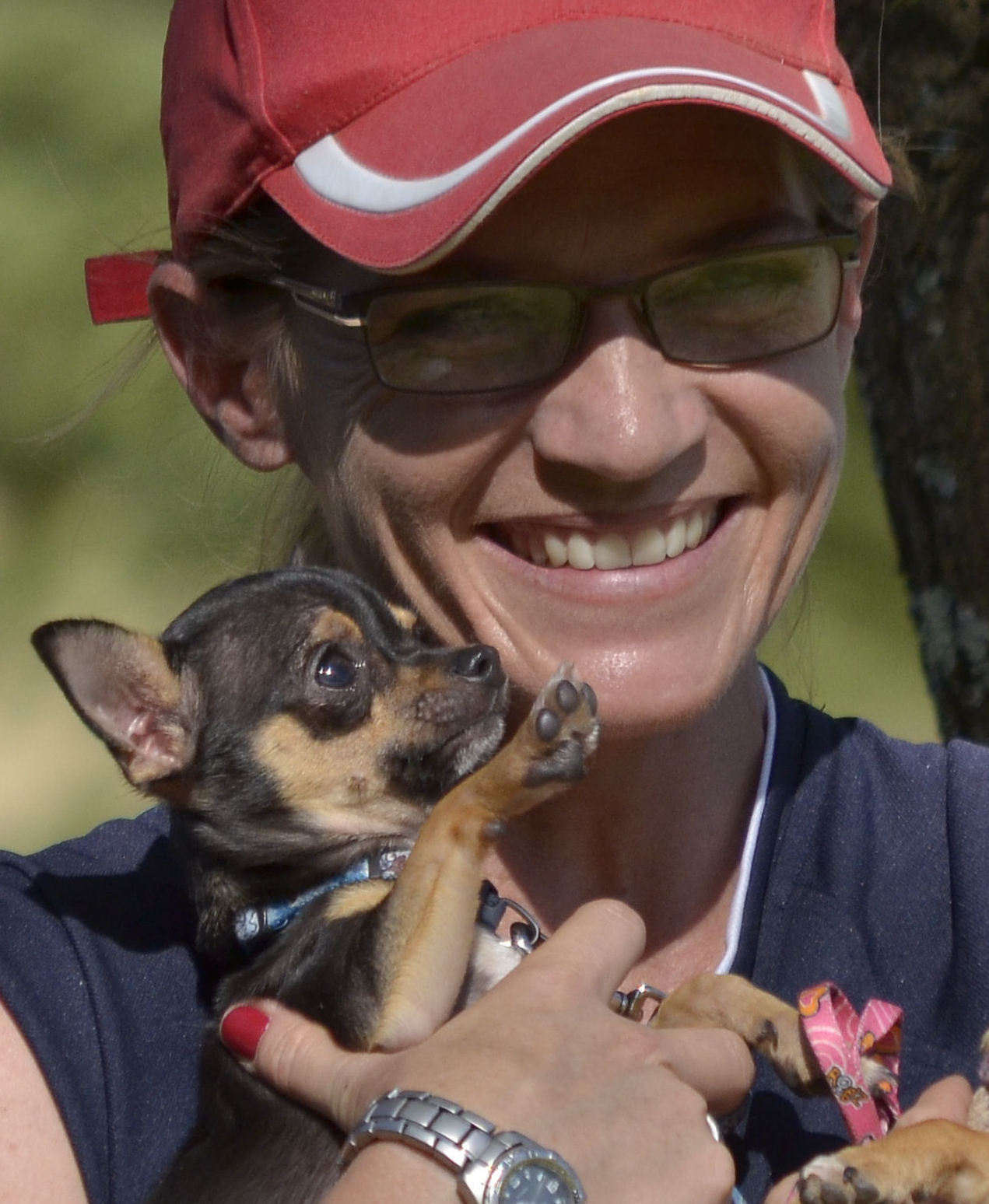 Imagem do fornecedor