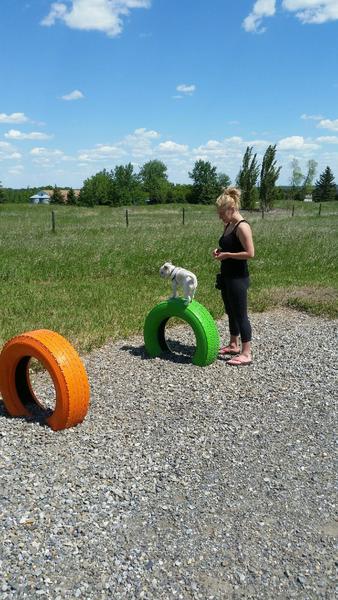 Ben learning about body awareness and confidence building with agility. 