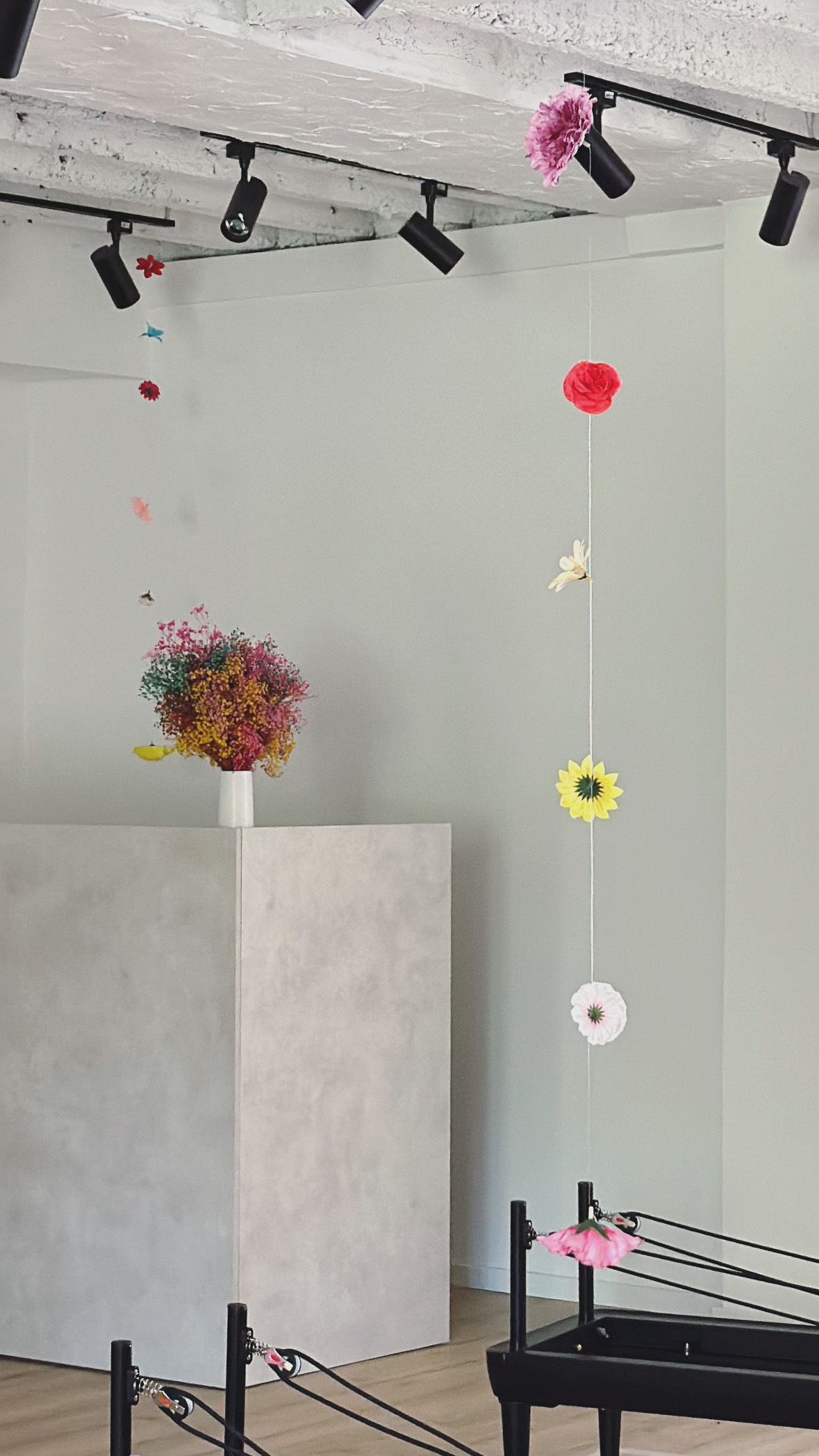 Imagem do fornecedor