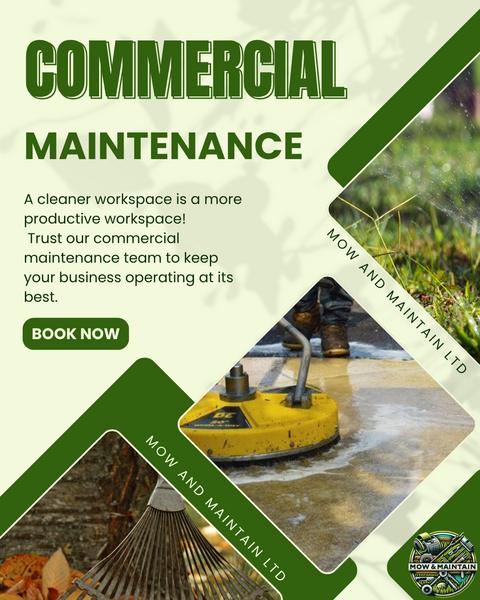 Service image