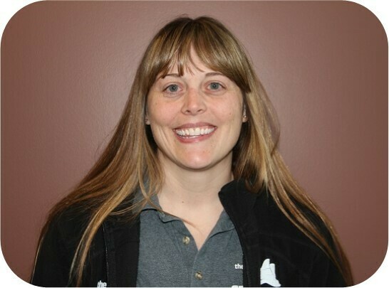 Imagem do fornecedor