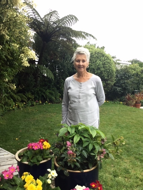 Imagem do fornecedor