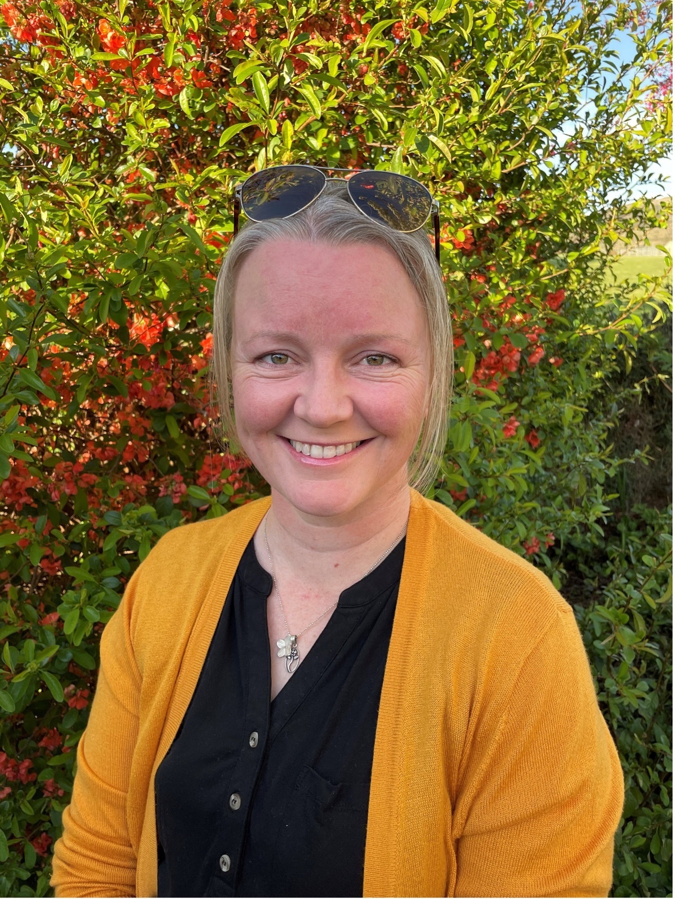 Imagem do fornecedor