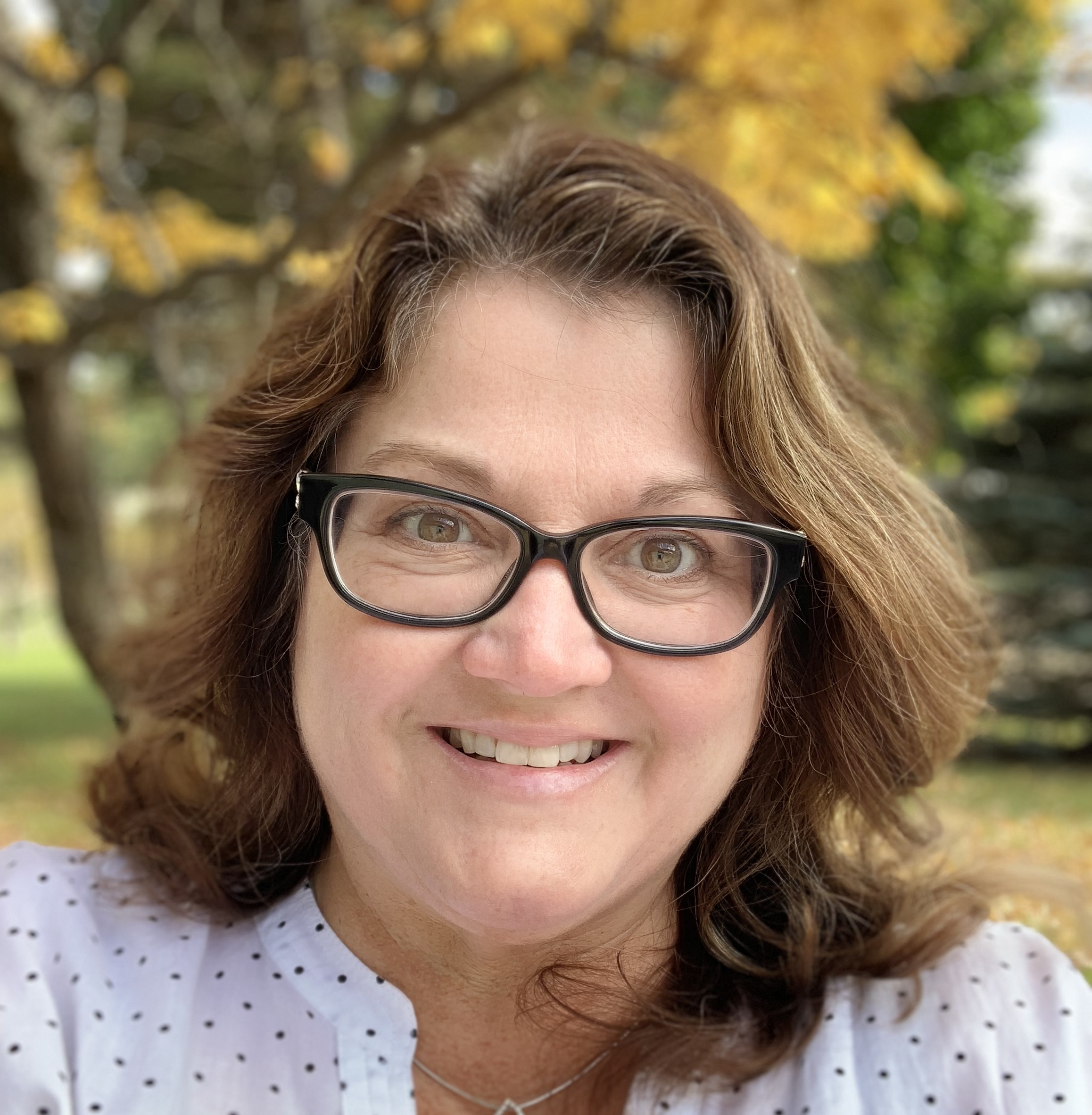 Imagem do fornecedor