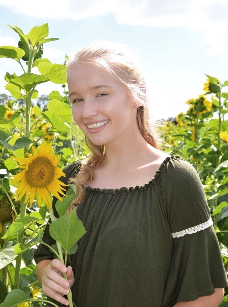 Imagem do fornecedor