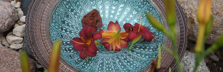 Imagem de apresentação da empresa