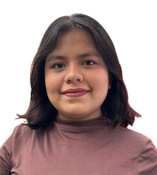 Imagem do fornecedor