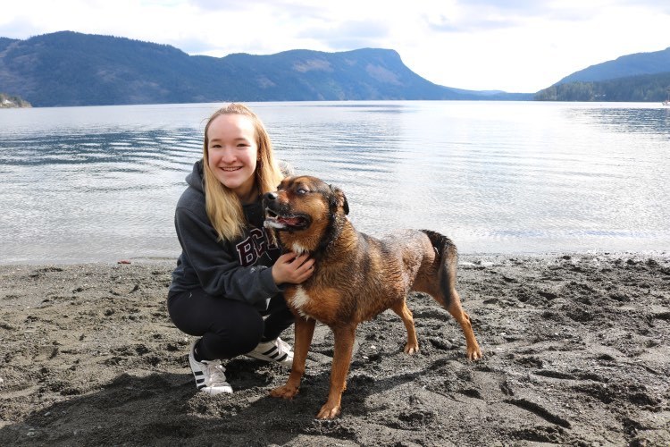 Imagem do fornecedor