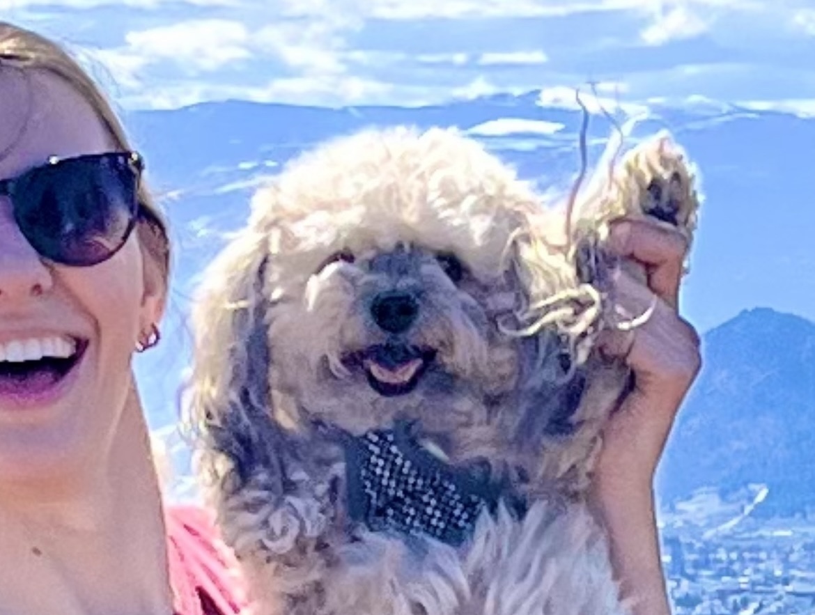 Imagem do fornecedor