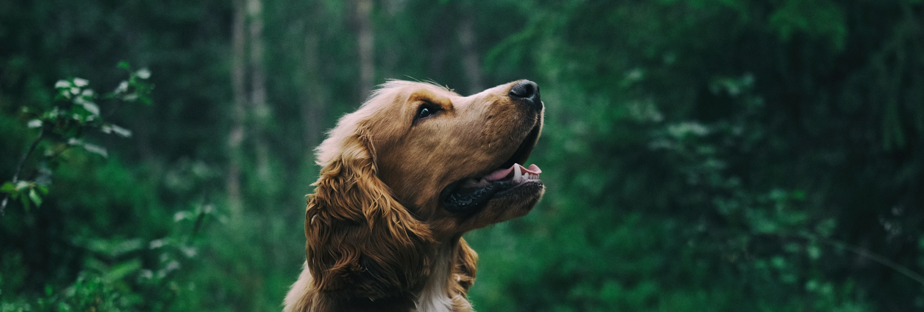 Imagem de apresentação da empresa