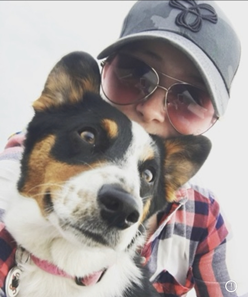 Imagem do fornecedor