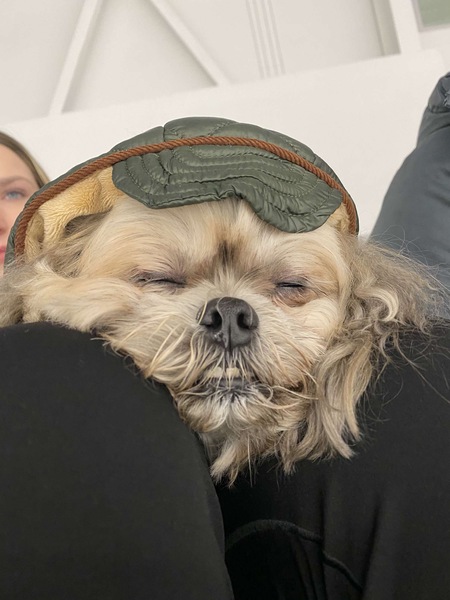 Imagem do fornecedor