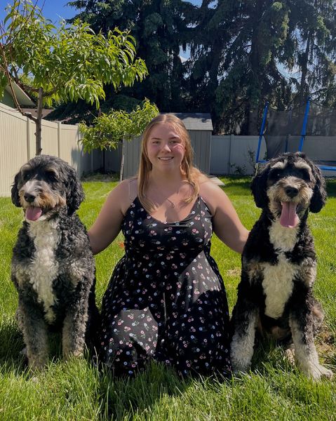 Imagem do fornecedor