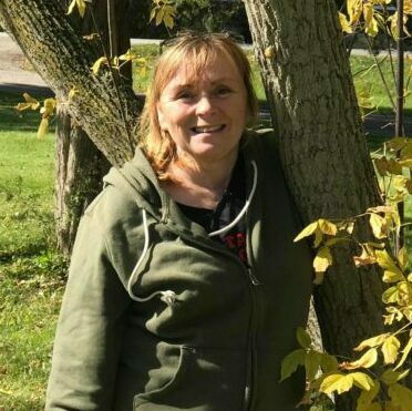 Imagem do fornecedor