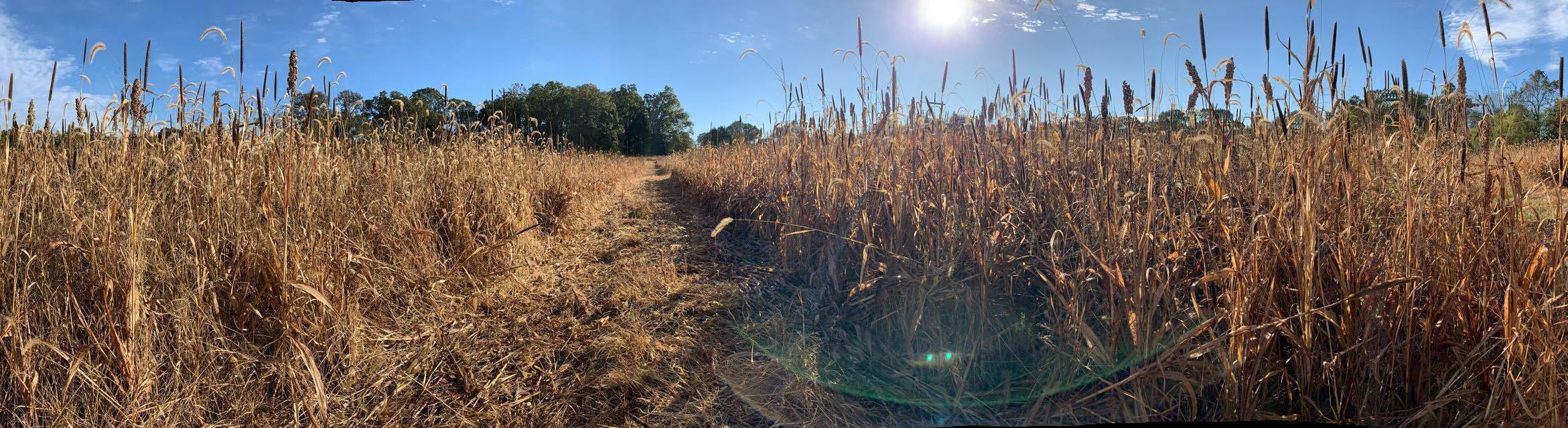 Imagem de apresentação da empresa