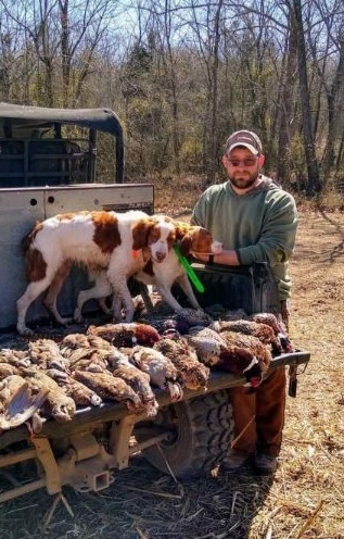 Imagem do fornecedor