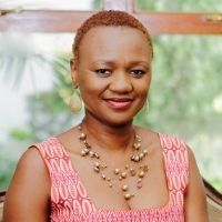 Imagem do fornecedor