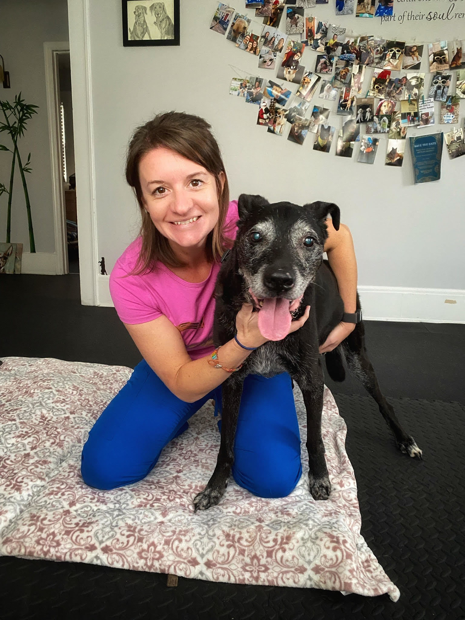 Imagem do fornecedor