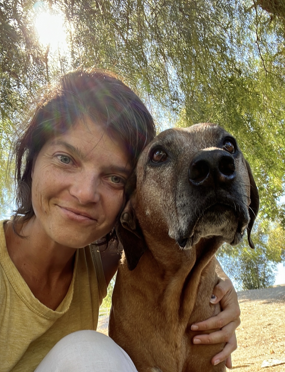 Provider image