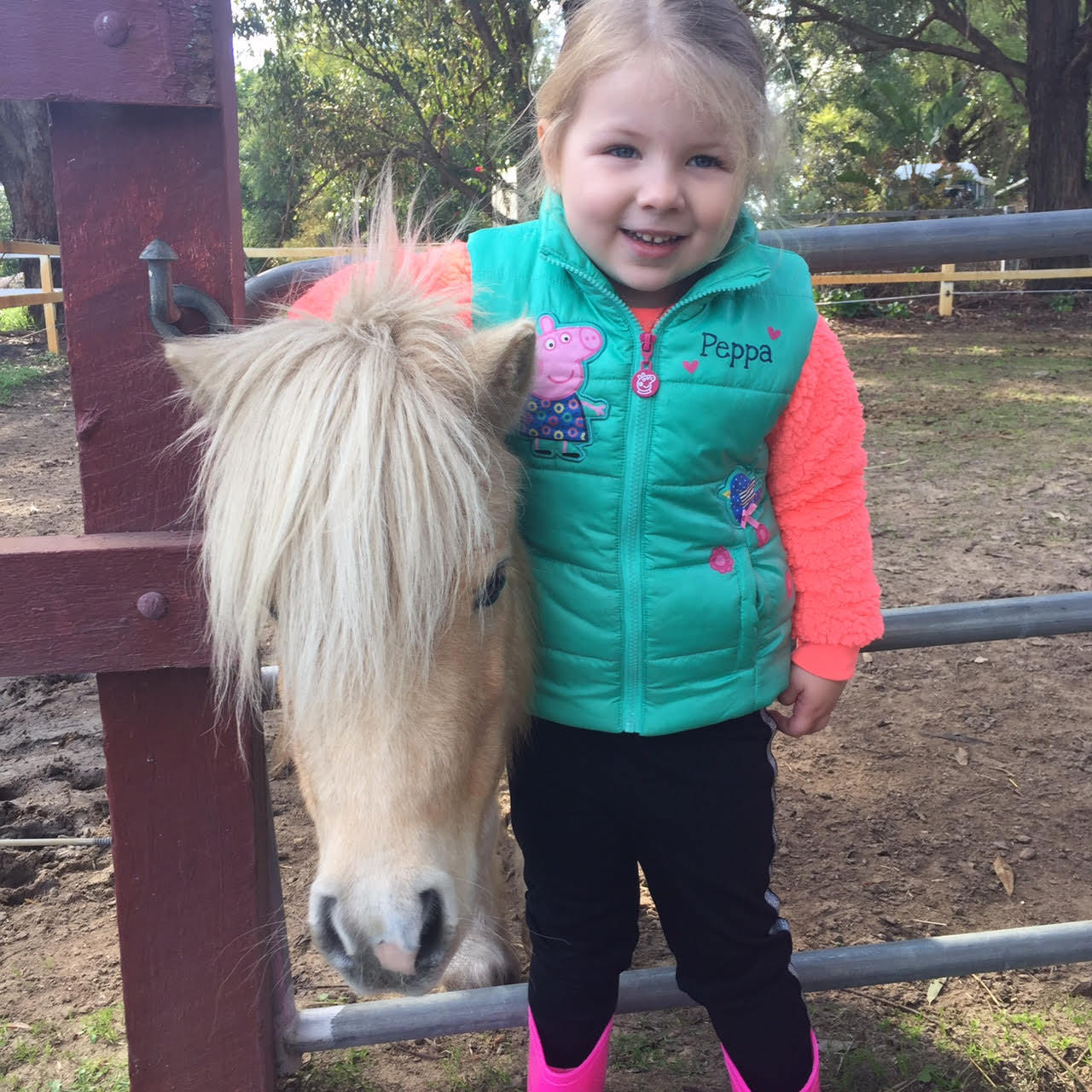 Imagem do fornecedor