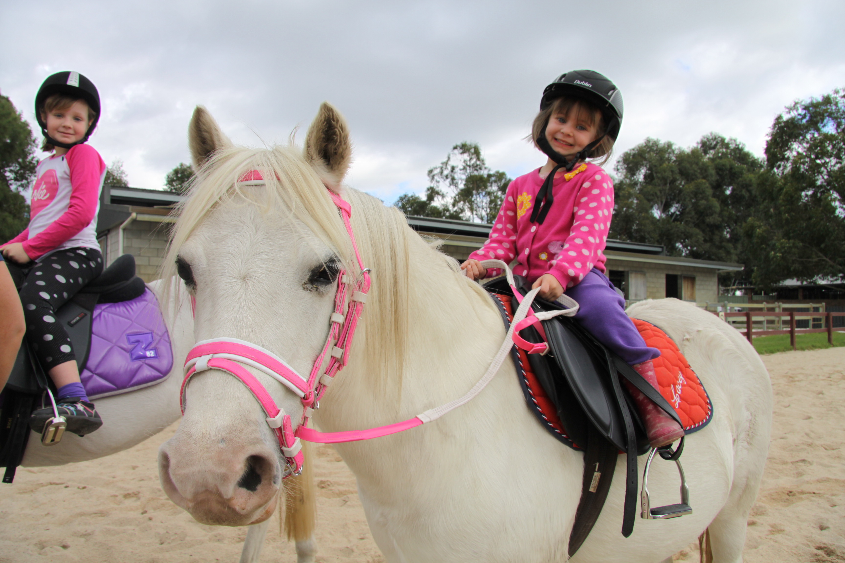 Imagem do fornecedor